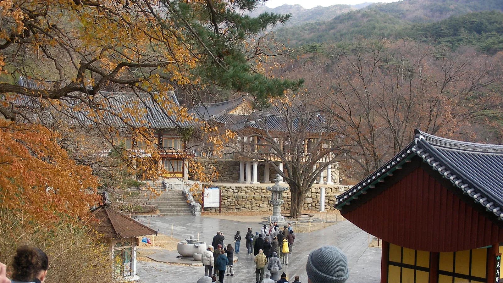 Pemandangan Daegu