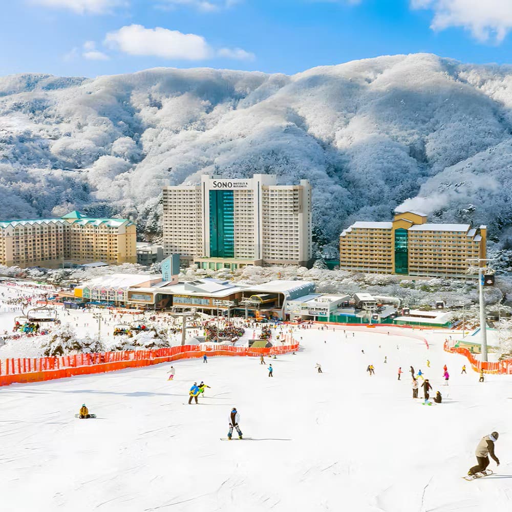 Korea Flexi Musim Sejuk (Vivaldi Ski Resort) — media 1