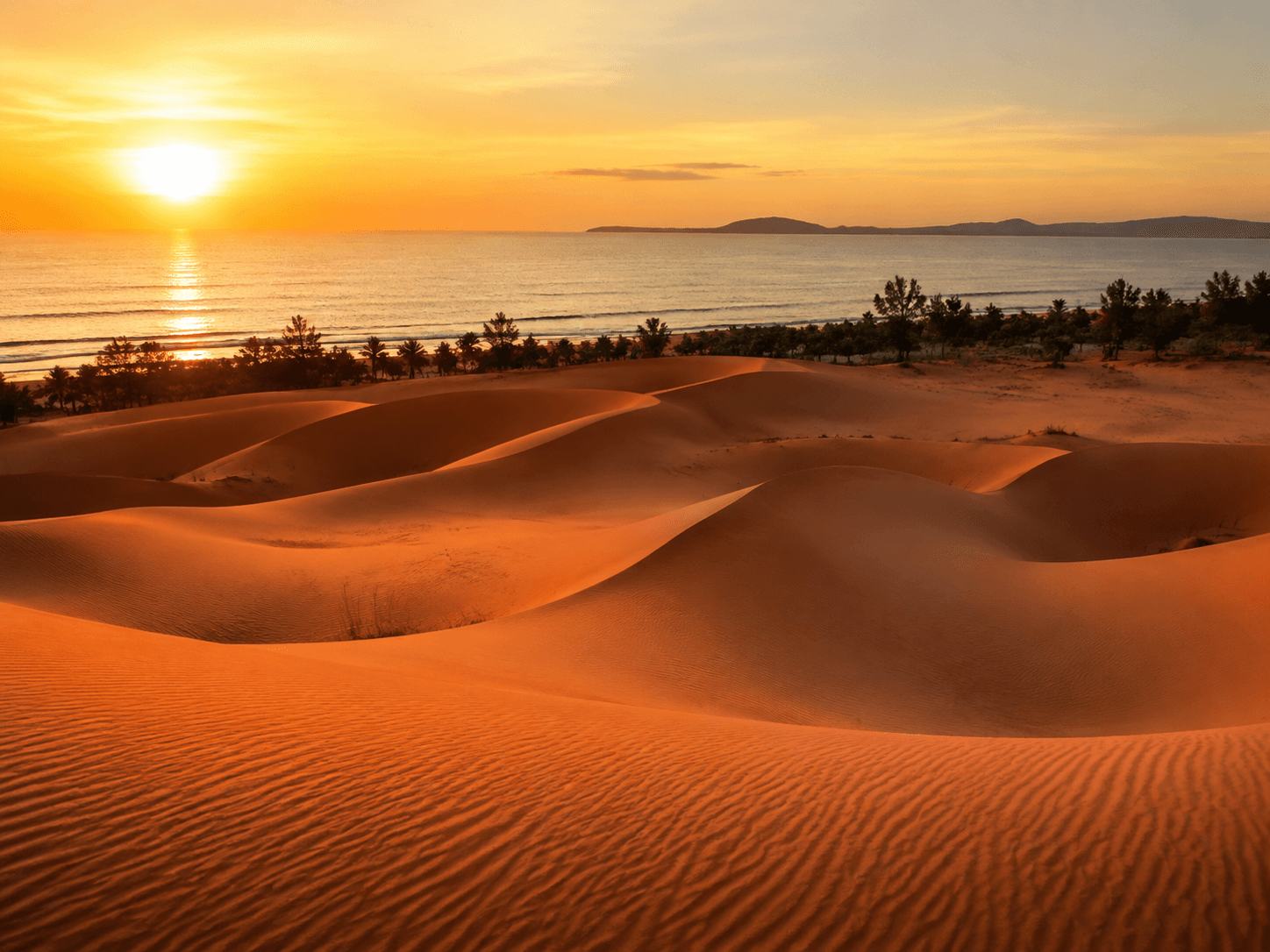 Pemandangan Vietnam untuk 5D4N DALAT MUI NE HO CHI MINH (SCHOOL HOLIDAY)