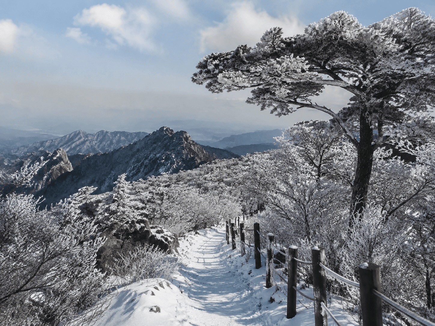 6D4N KOREA WINTER FLEXI — destination preview